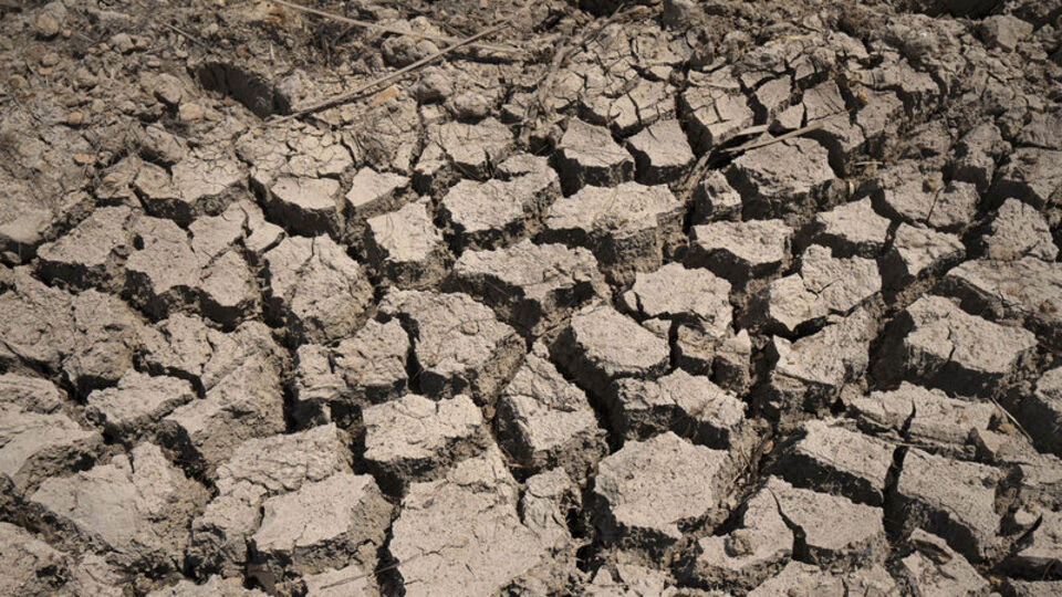 Kuraklık 113 milyon yıllık dinozor ayak izlerini ortaya çıkardı