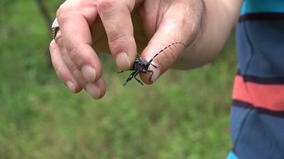 Artık Türkiye'de görülüyorlar! Kadıoğlu'ndan uyarı: Polikliniklerin kurulması gerekecek