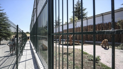 Özel hayvanat bahçesinin ruhsatı iptal