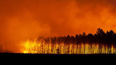 Fransa'daki yangınlardan biri 45 gün sonra söndürüldü