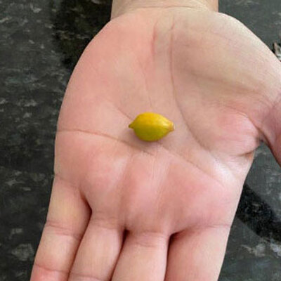 'Amatör çiftçiler' sosyal medyayı salladı