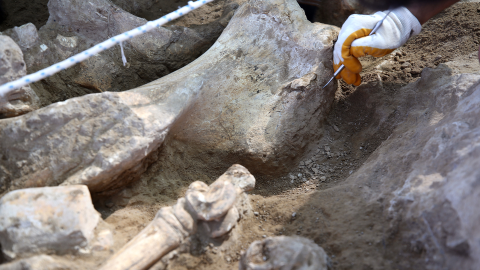 8 yıldır sürdürülen kazılarda bulundu... Sofular adı verilecek!