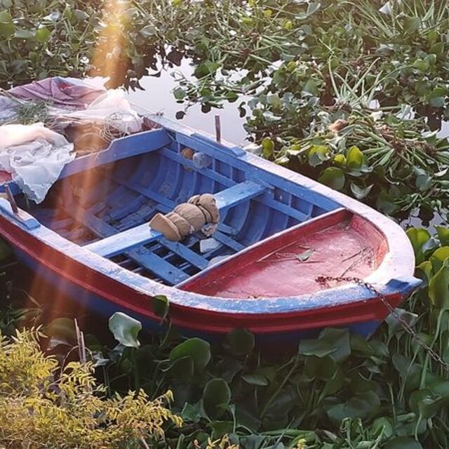 Asi Nehri'ni istila ettiler!