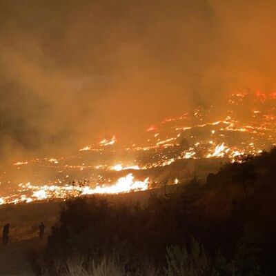 İçişleri: Orman yakma hazırlığında olan kişi yakalandı