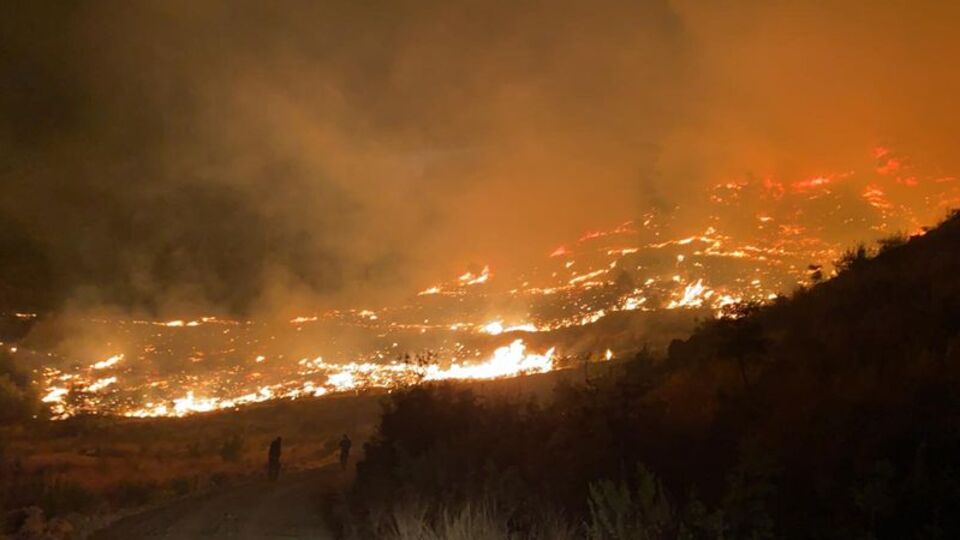İçişleri: Orman yakma hazırlığında olan kişi yakalandı