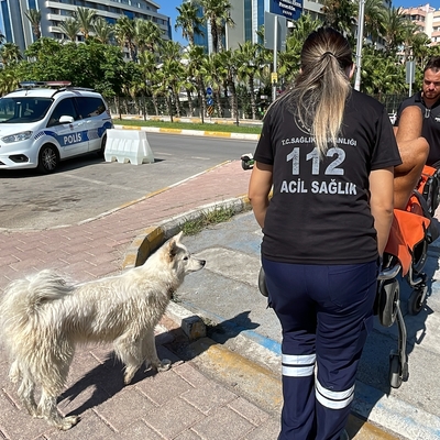 Köpeğini korumak isterken bıçaklandı!