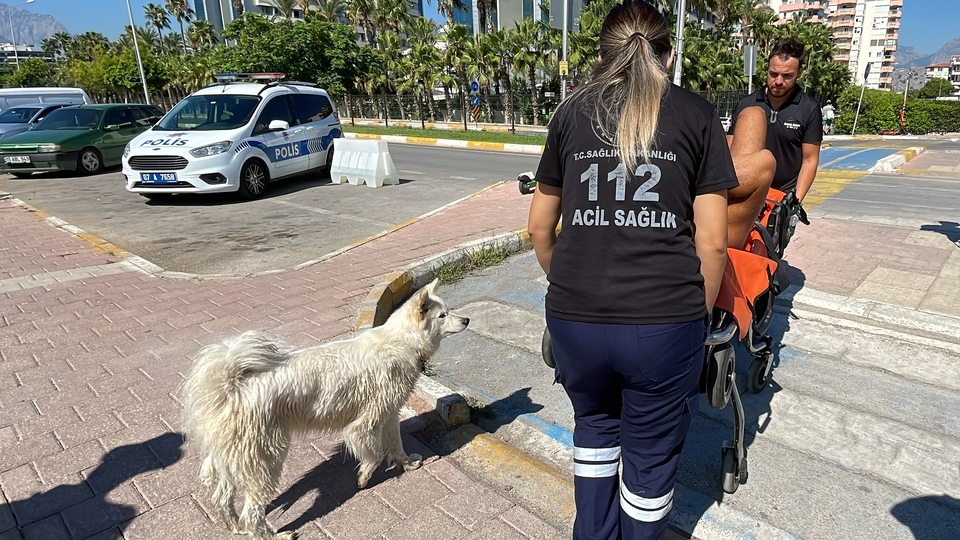 Köpeğini korumak isterken bıçaklandı!
