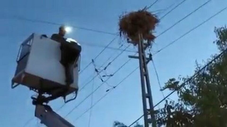 Öksüz yavruların imdadına ekipler yetişti