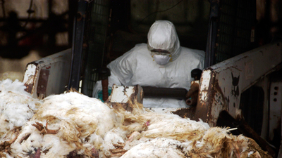 Ufukta 'yeni salgın var' uyarısı!