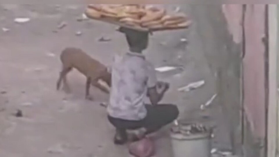 Simit satan çocuktan yürekleri ısıtan hareket