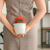 Basur memesi nedir, neden olur ve nasıl geçer?