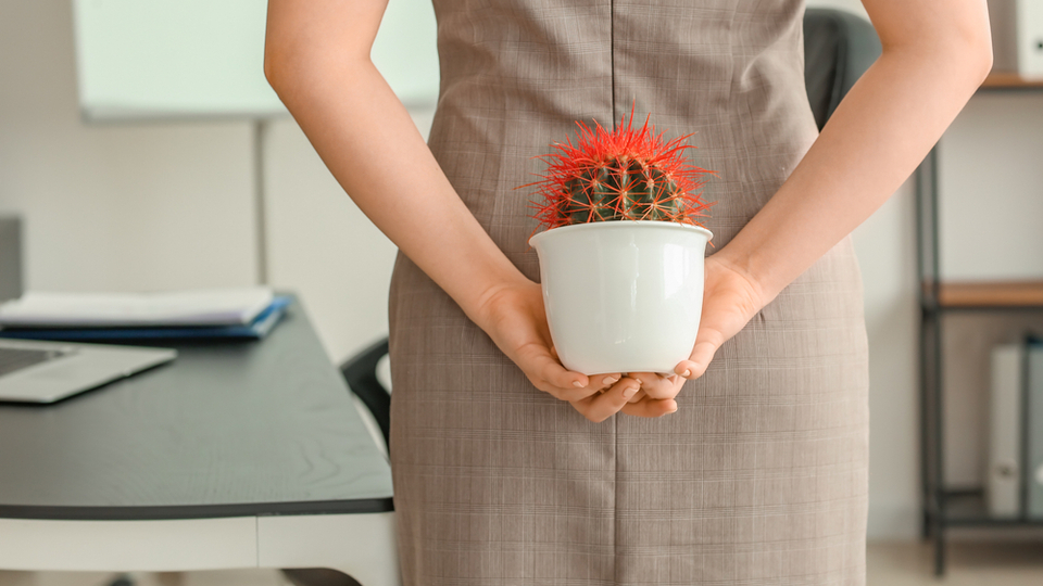 Basur memesi nedir, neden olur ve nasıl geçer?