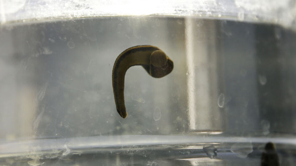 Kritik uyarı! Büyük riskler barındırıyor