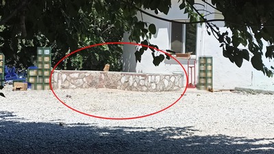 Zehra Bayır cinayetinde flaş tespit!