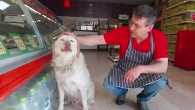 Hayatını kurtaran köpek can dostu oldu