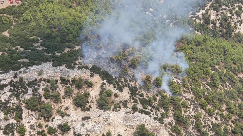 Manisa'da 10 dönüm orman küle döndü