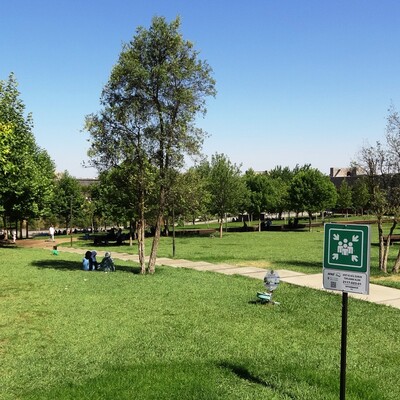 "Hava biraz serinledi ama henüz üşütmüyor"