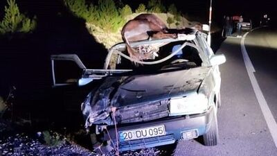 Aracın tavanına eşek düştü! Yolcu öldü!