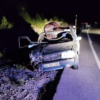 Aracın tavanına eşek düştü! Yolcu öldü!