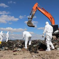 Tam 1 yıl oldu! Eskişehir'de kaybolan Sally'den haber yok