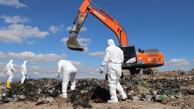 Tam 1 yıl oldu! Eskişehir'de kaybolan Sally'den haber yok