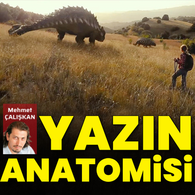 Yazın anatomisi