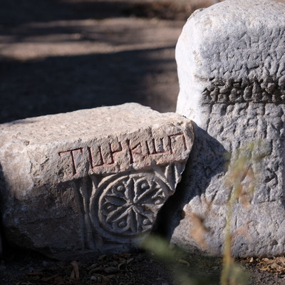Anadolu'da ilk kez bulundu!