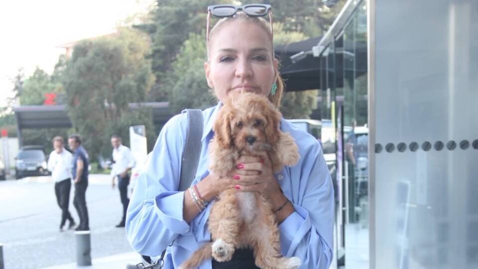 Köpekli alışveriş turu