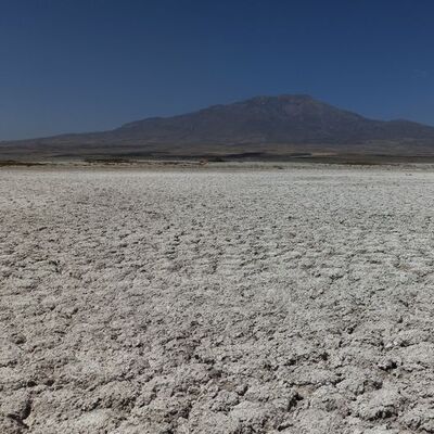 Bitlis'in kuş cennetinden kötü haber!