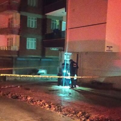 Ordu'da kan donduran 'kuzen' cinayeti