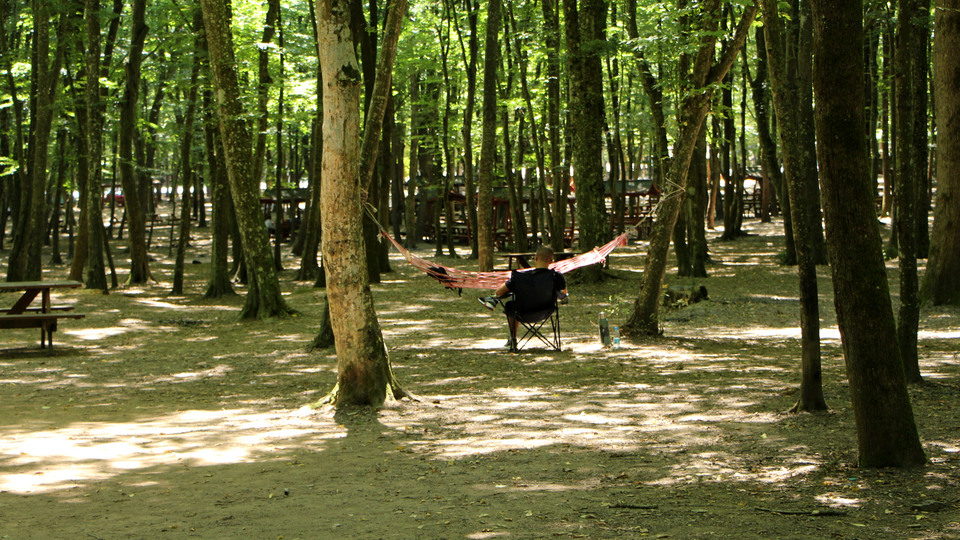 Türkiye'de insanları enfekte edebilen yeni bir bakteri görüldü