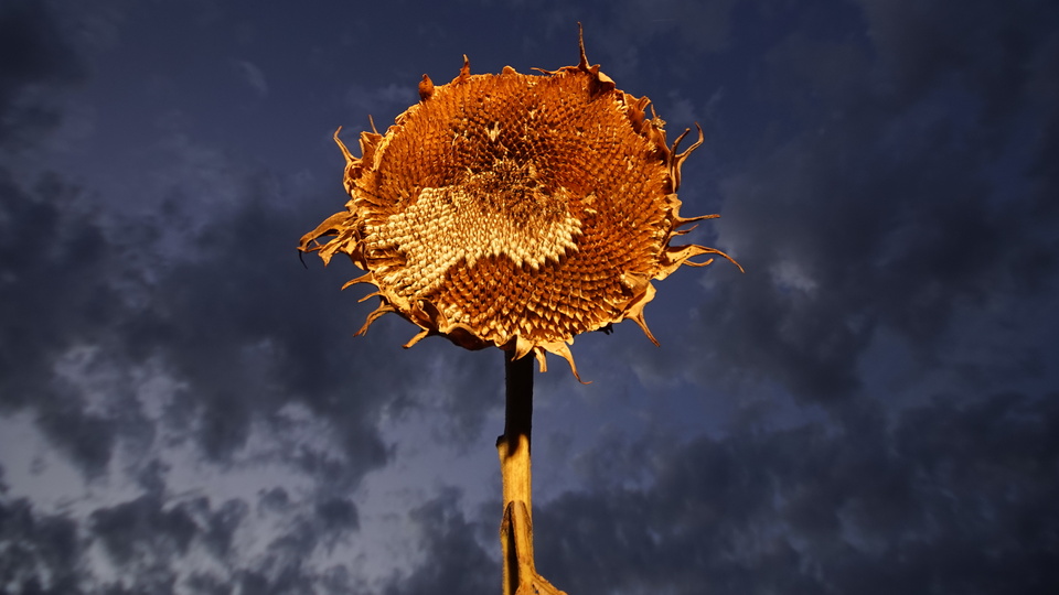 'Hayat, Ölüm, Aşk ve Adalet' sergisi