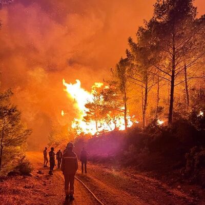 303 konut boşaltıldı! Mersin'de orman yangını kontrol altında