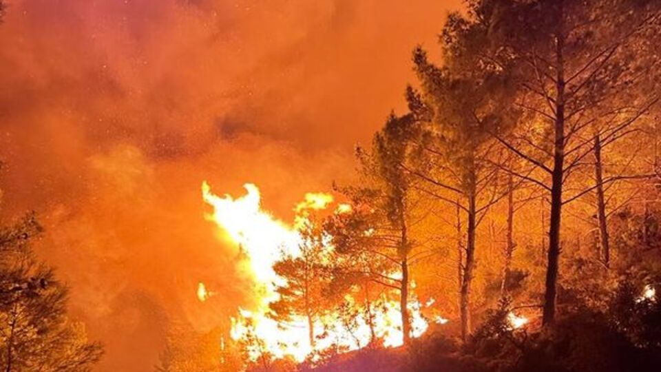 303 konut boşaltıldı! Mersin'de orman yangını kontrol altında