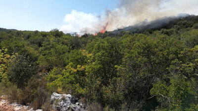 Antalya'da orman yangını! Havadan müdahale ediliyor