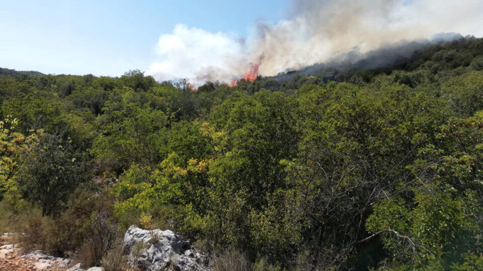 Antalya'da orman yangını! Havadan müdahale ediliyor