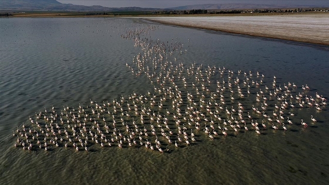 Göç hazırlığı