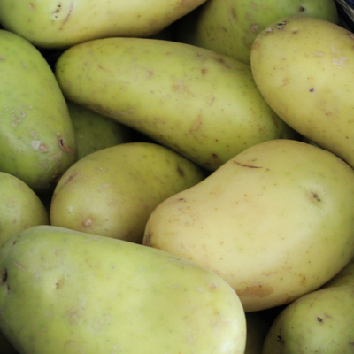 Patates böyle olduysa uzak durun!