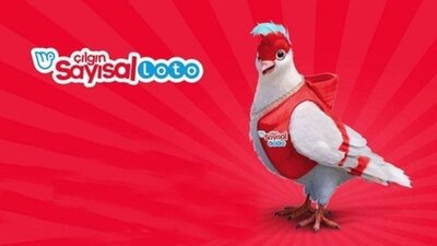 Çılgın Sayısal Loto sonuçları açıklandı!