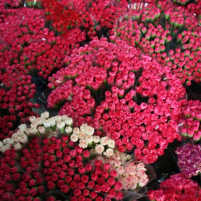 Kraliçe için Türkiye'den 1,5 milyon dal karanfil