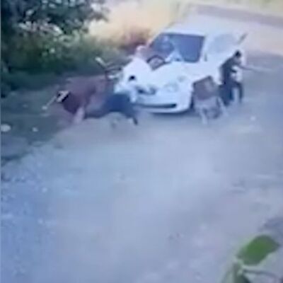 Otomobille çarpıp sopalarla dövdüler!