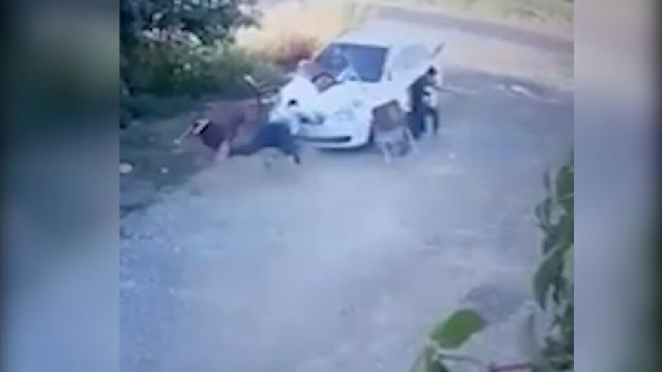 Otomobille çarpıp sopalarla dövdüler!