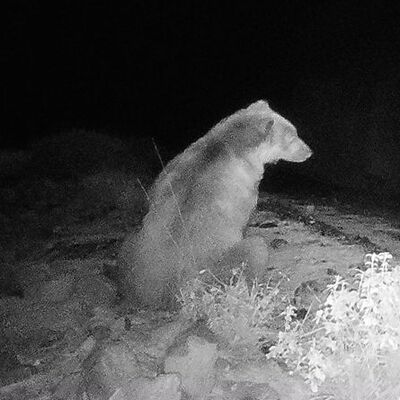 İlk defa görüntülendi