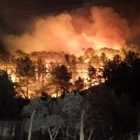 Muğla'nın Ula ilçesindeki orman yangını kontrol altında