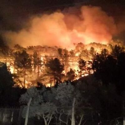 Muğla'nın Ula ilçesindeki orman yangını kontrol altında