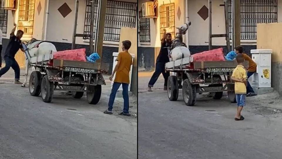 Vicdansız gözaltında! Bahanesi 'pes' dedirtti