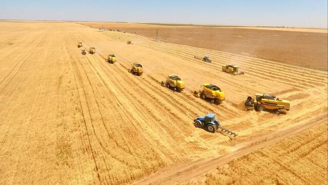 Tarım ÜFE zirveden döndü