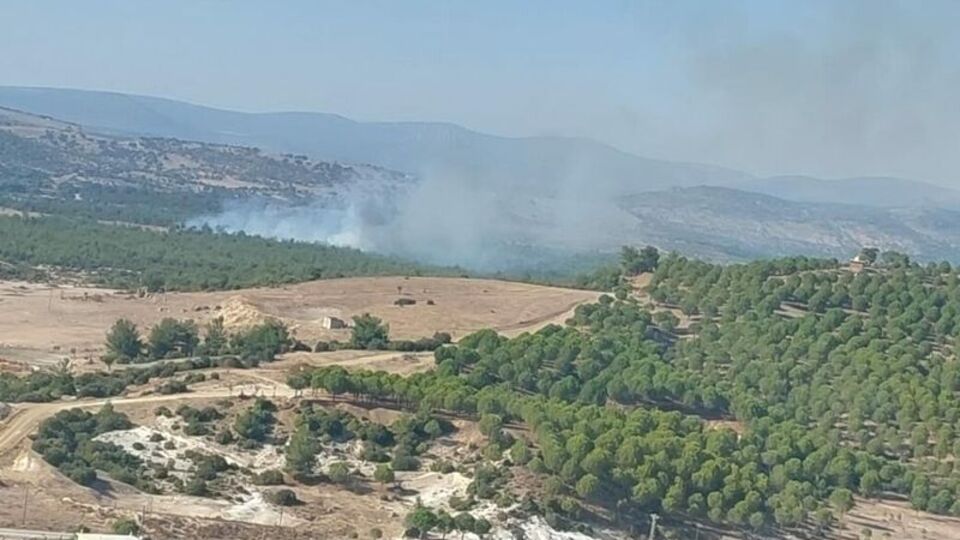 Manisa'da orman yangını çıktı