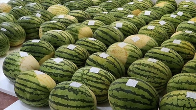 Şampiyon adayları gün sayıyor