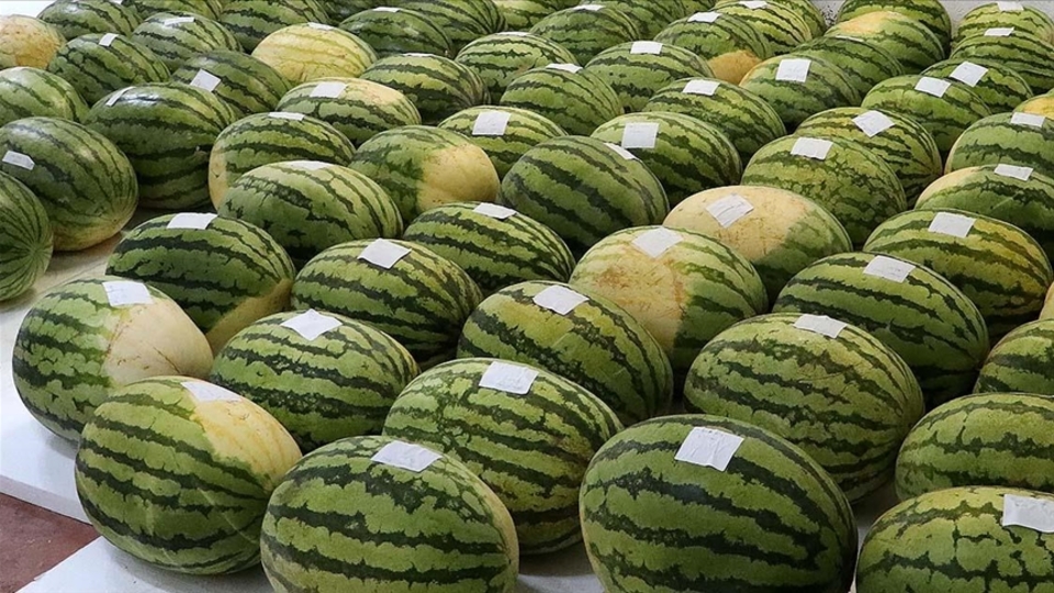 Şampiyon adayları gün sayıyor